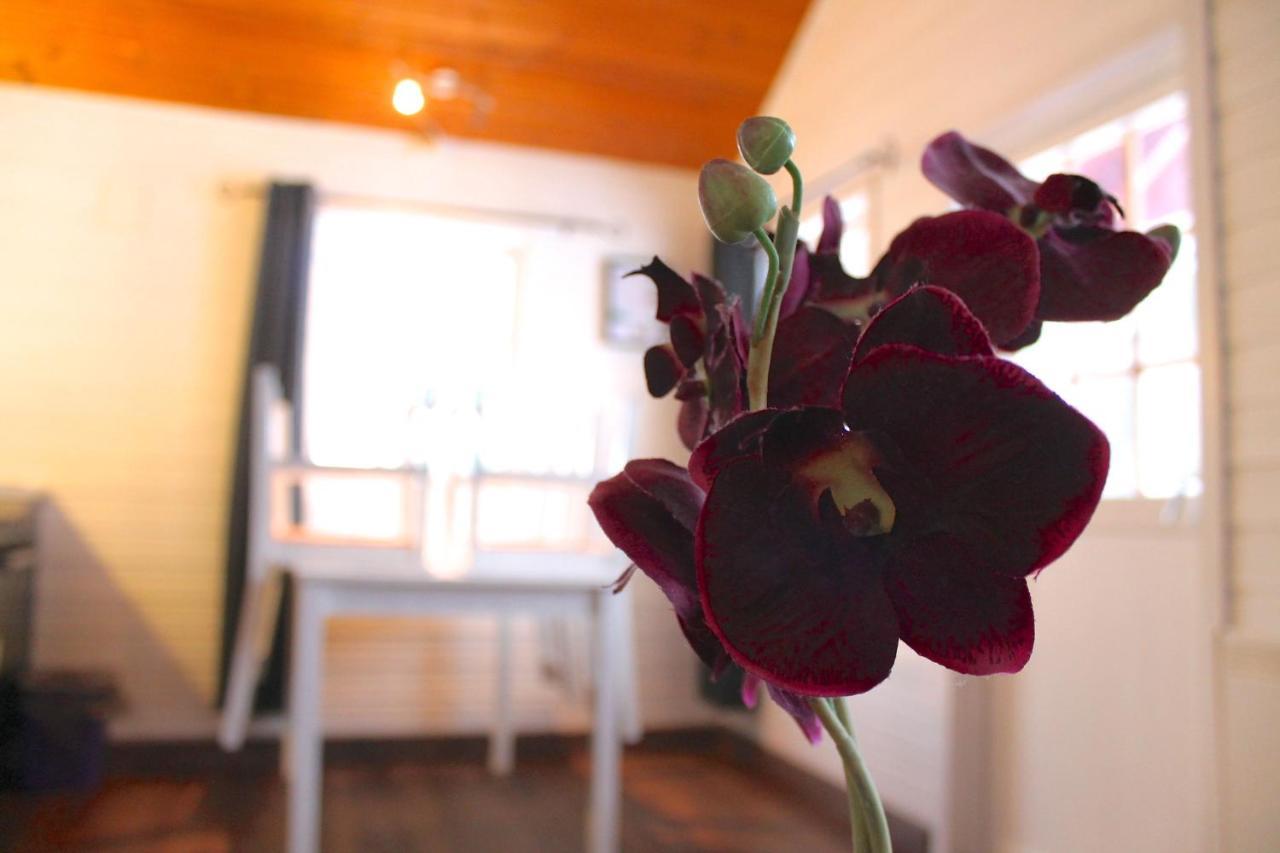 Lofoten Camp Stamsund Kültér fotó