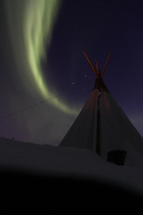 Lofoten Camp Stamsund Kültér fotó